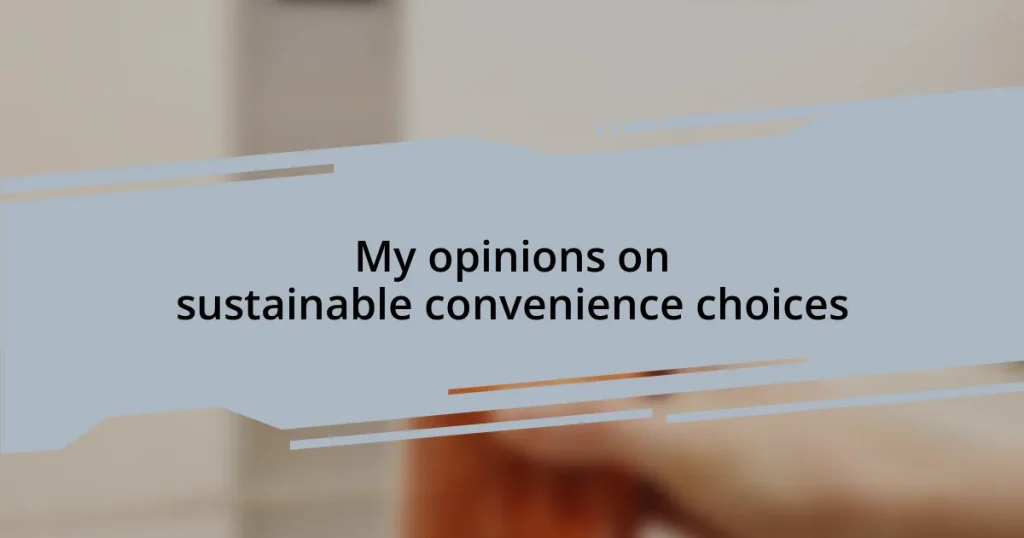 My opinions on sustainable convenience choices
