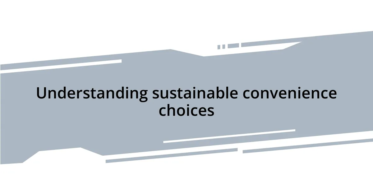 Understanding sustainable convenience choices